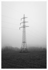 IMG_0006