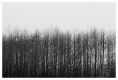 IMG_0014