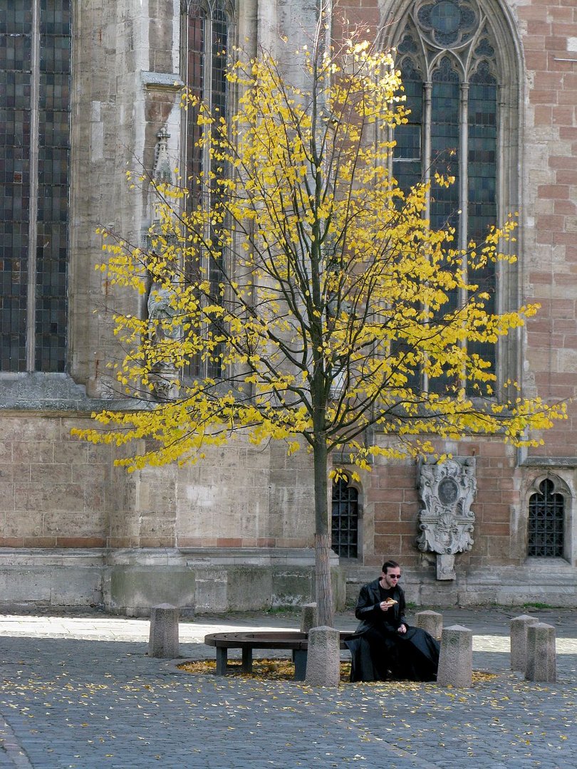 IMG_0206:Begegnung am Altstadtmarkt in Braunschweig