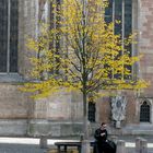 IMG_0206:Begegnung am Altstadtmarkt in Braunschweig