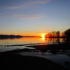 IMG_0235