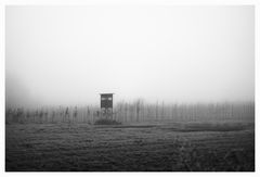 IMG_0252
