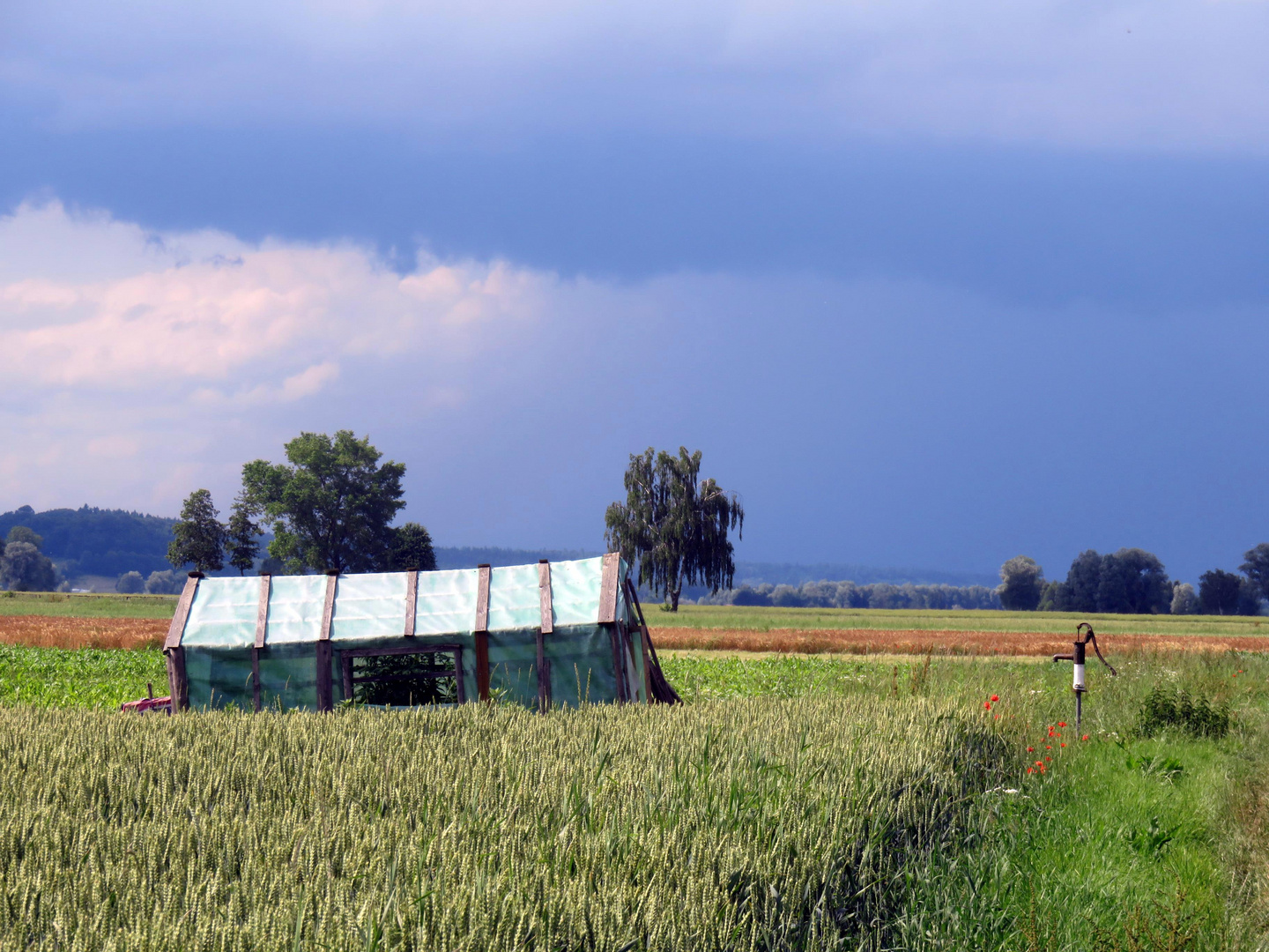 IMG_0279 Vor dem Gewitter