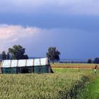 IMG_0279 Vor dem Gewitter