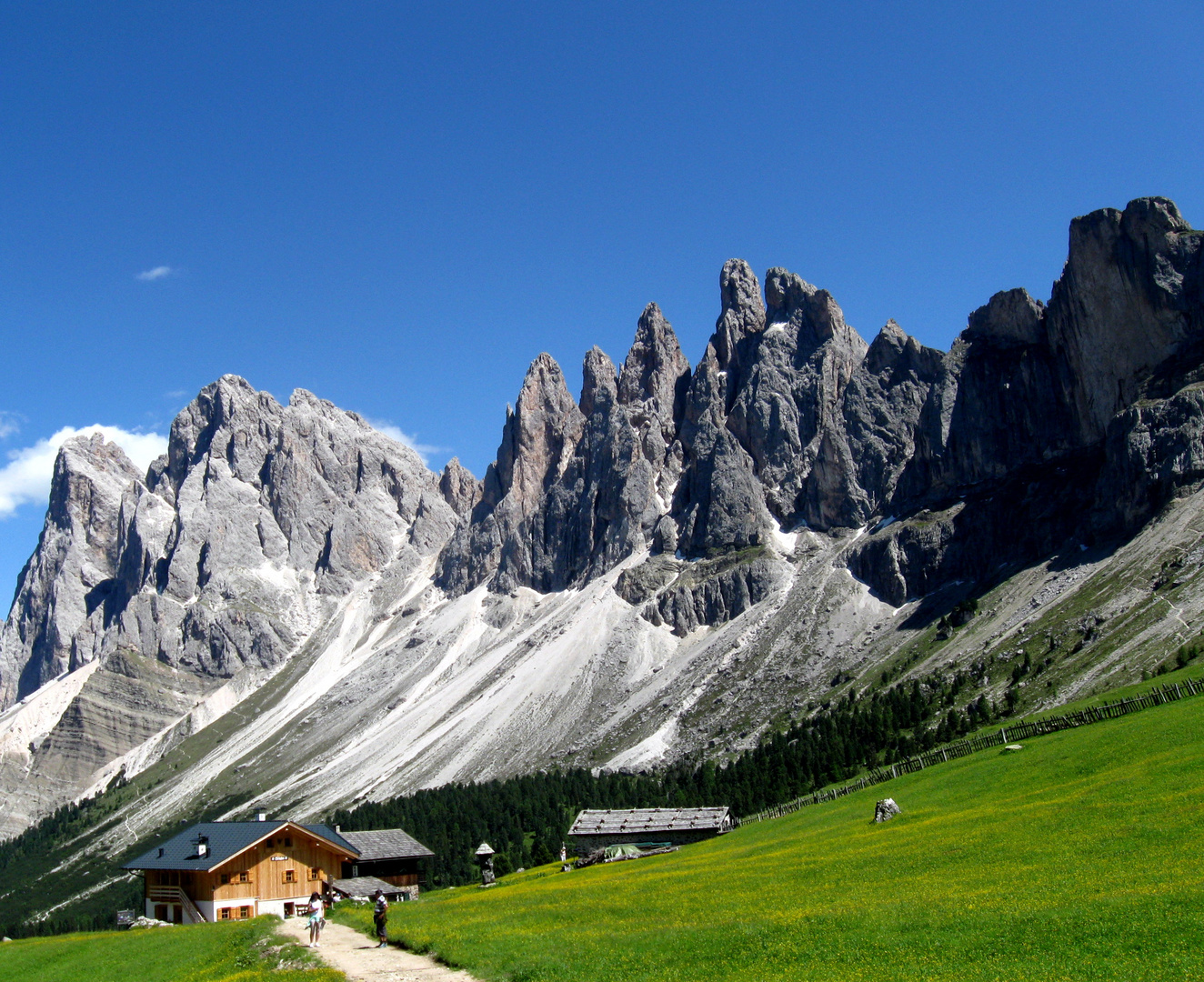 IMG_0700  Bergwanderung zu den Geisler Spitzen.