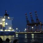 IMG_0921 Die Elbe bei Nacht