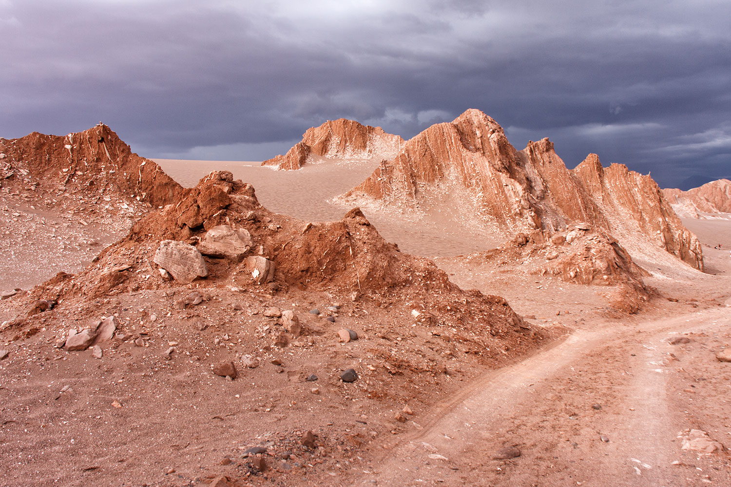 IMG_1184-Atacamawüste