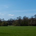 IMG_1195-Panorama 