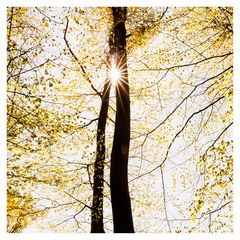 IMG_1425