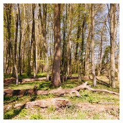 IMG_1427-Bearbeitet-2