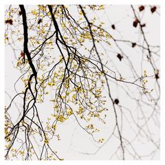 IMG_1448-Bearbeitet