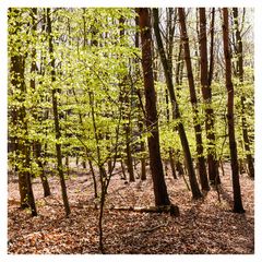 IMG_1453-Bearbeitet