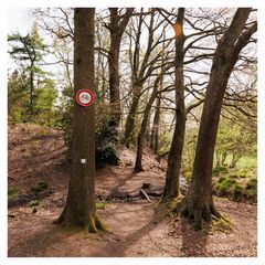 IMG_1471-Bearbeitet