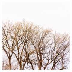 IMG_1477-Bearbeitet
