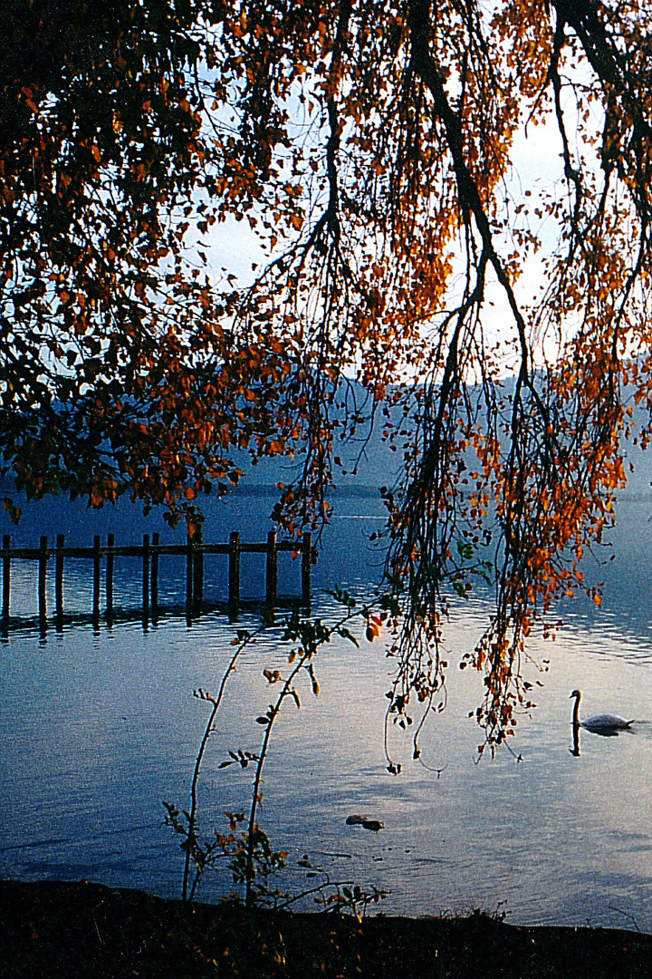 IMG_20161005_0002 Herbstzauber am Chiemsee