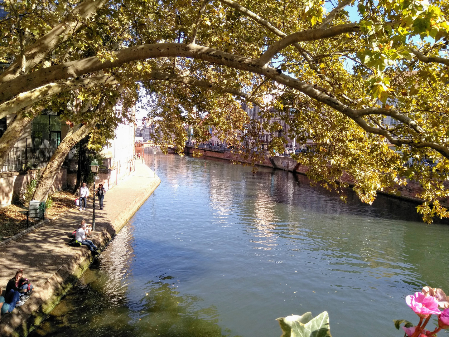 IMG_20181013_134655 Strasbourg