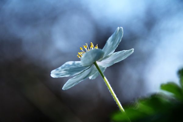 IMG_20210419_083851_264