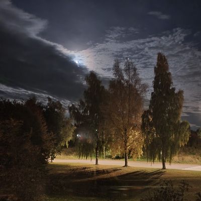 IMG_20221014_114641_665