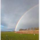 IMG_20230325_Regenbogen