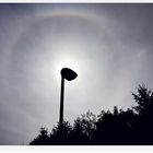 IMG_20230903_150452 Sonnenhalo