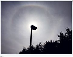 IMG_20230903_150452 Sonnenhalo