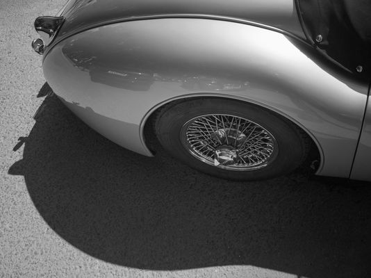 IMG_20240811_120947_Katze_SW