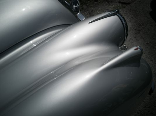 IMG_20240811_121023_Katze