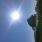 IMG_20250508_104850