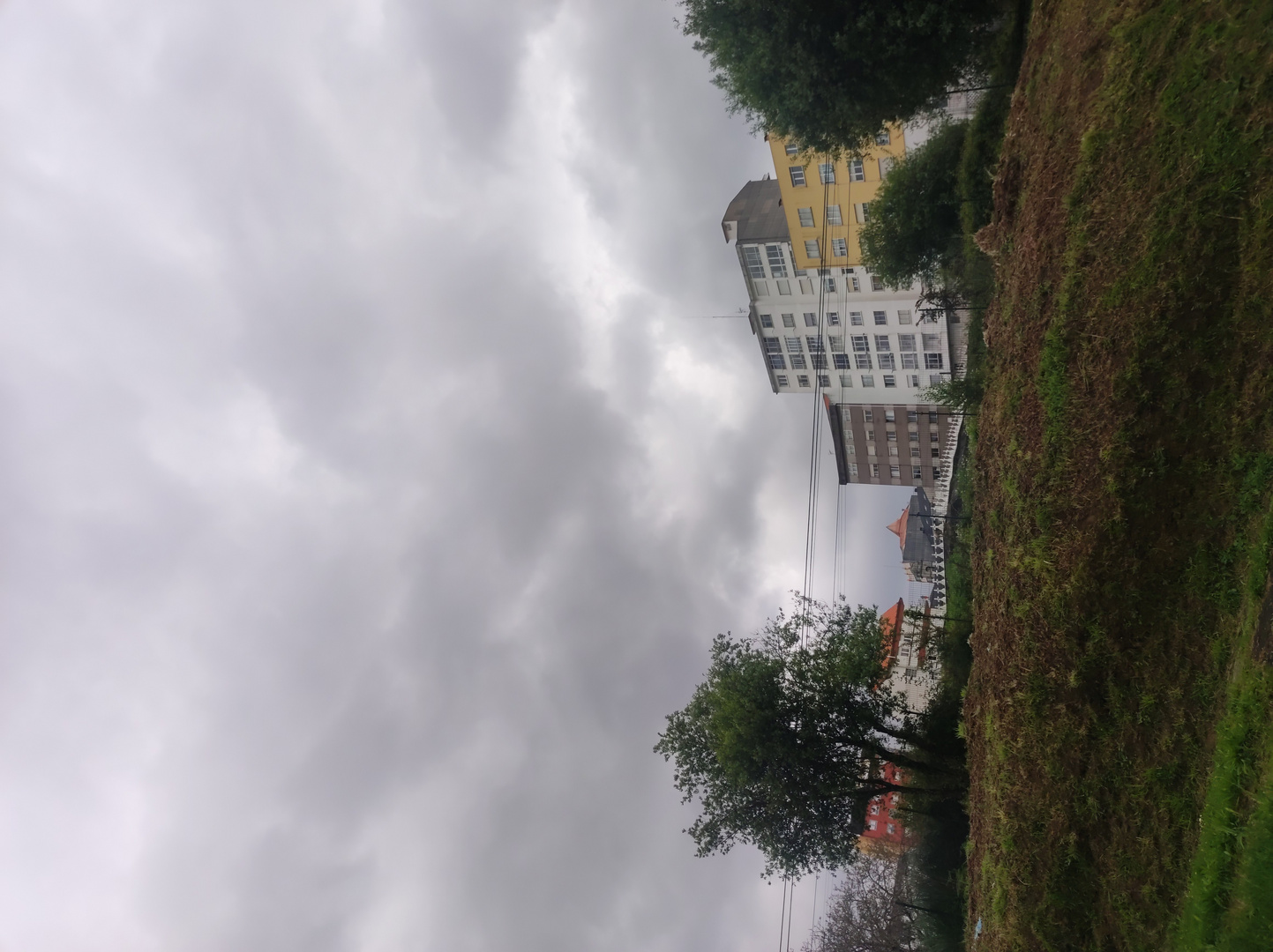 IMG_20250511_110226