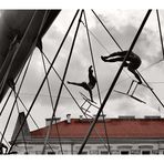 IMG_20250528_101012