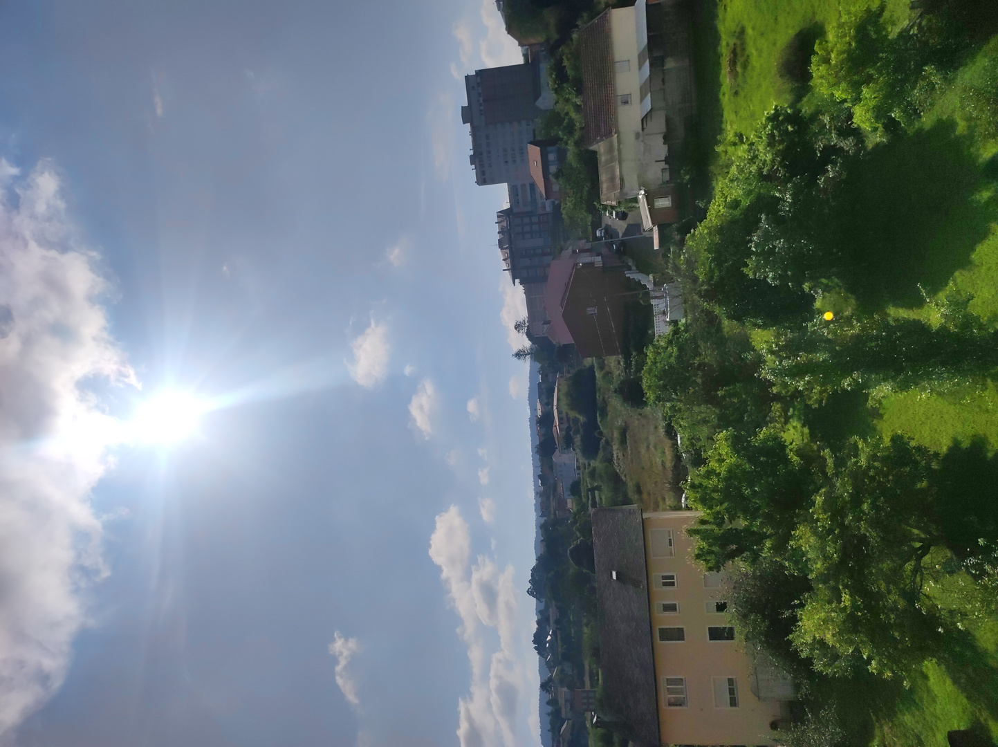 IMG_20250621_101046