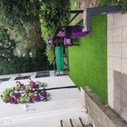 IMG_20250623_104142