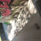 IMG_20250627_102403
