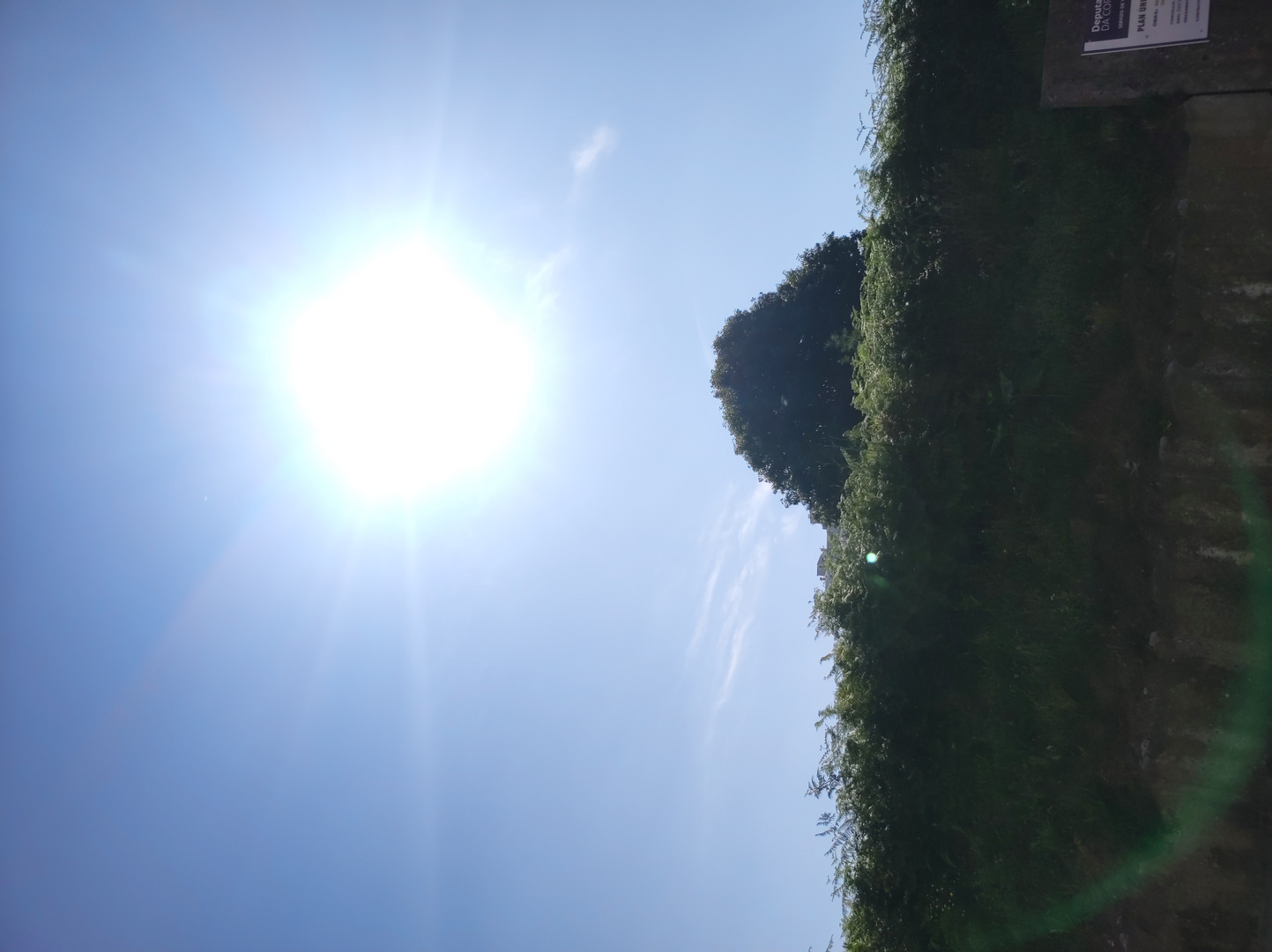 IMG_20250628_105200