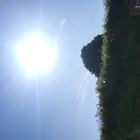 IMG_20250628_105200