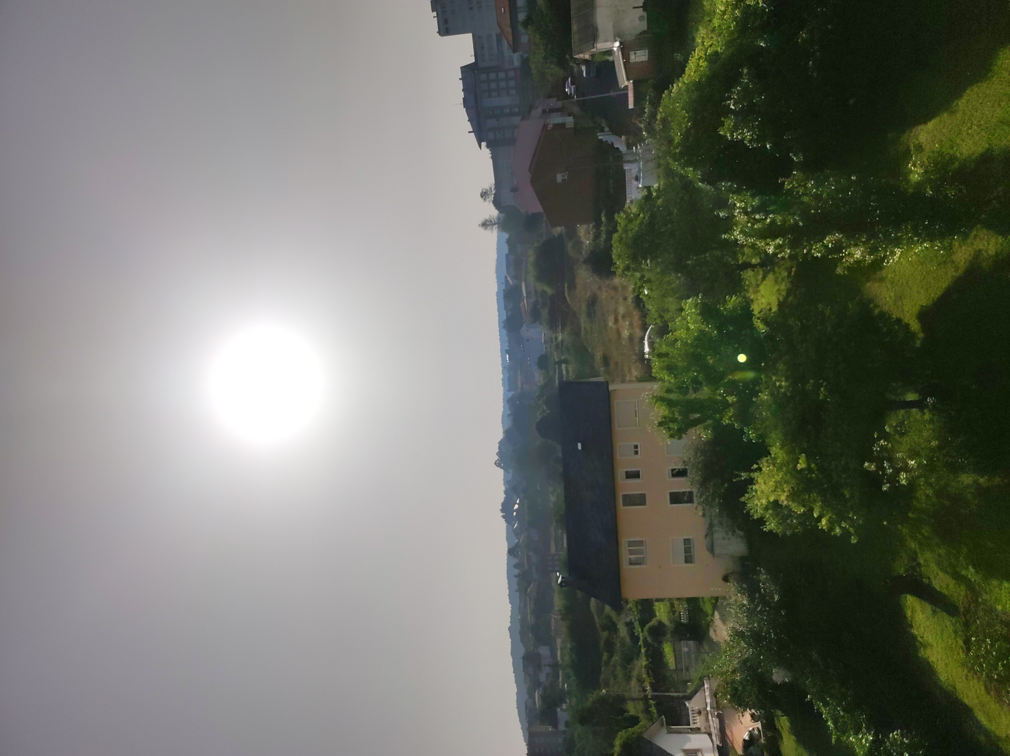 IMG_20250629_092247