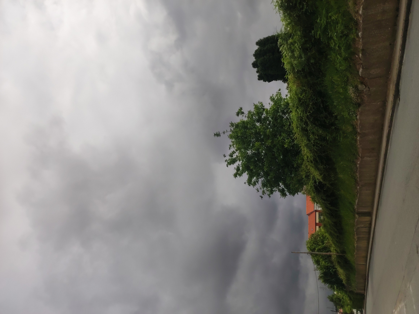 IMG_20250702_114619