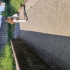 IMG_20250704_105149