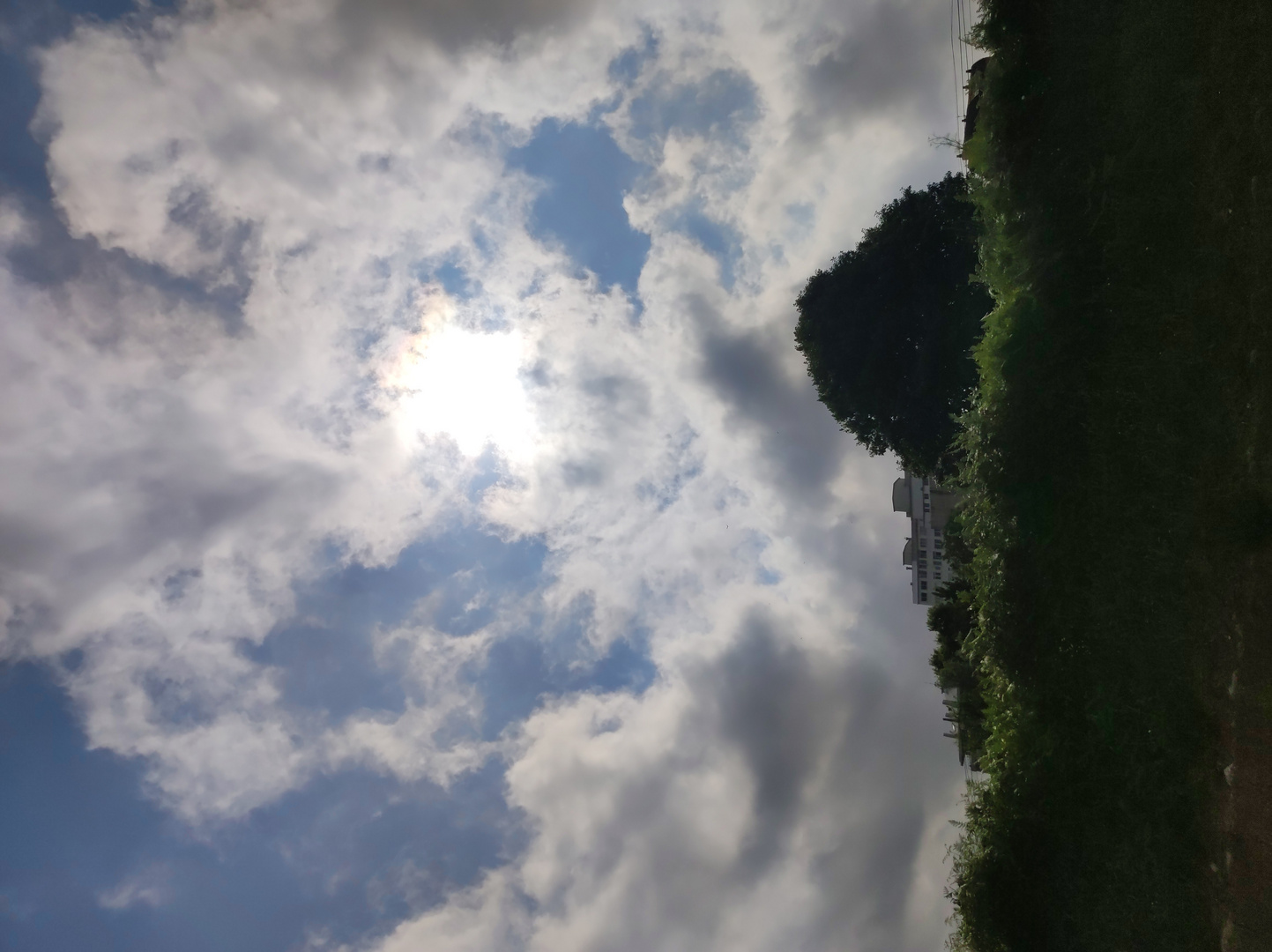 IMG_20250705_105233