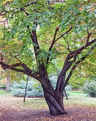 IMG_20251023_094634-01