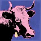 IMG_2291_f_Cow art Warhol