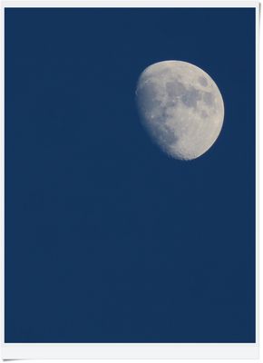 IMG_2667 2025.06.06 Mond zur blauen Stunde