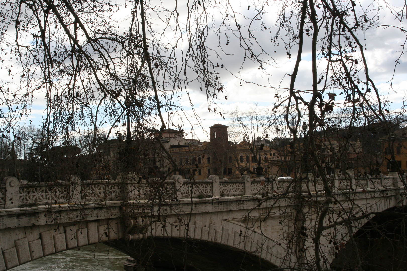 IMG_2691 Ramicelli sul lungotevere 