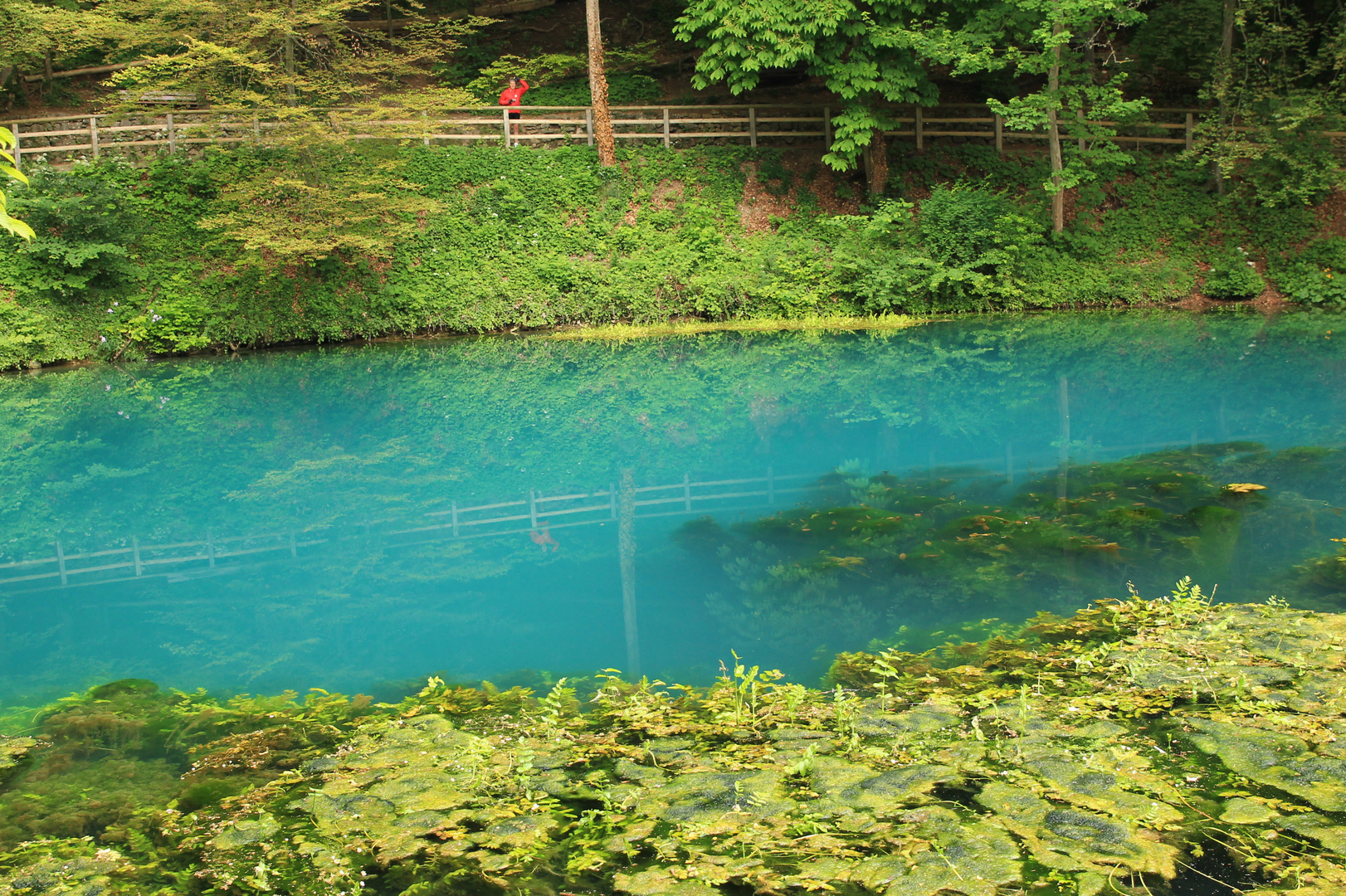 IMG_3436 Blautopf "Blaubeuren"