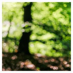 IMG_3440