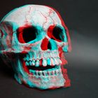 IMG_4829_skull_2mod1