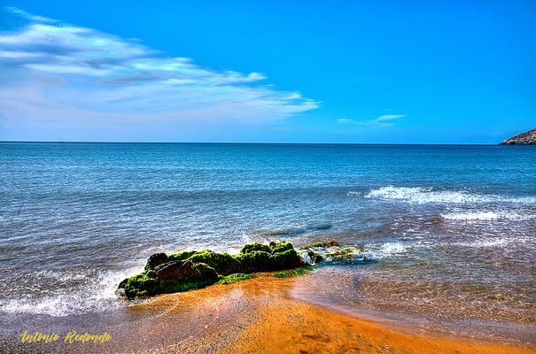 IMG_4913_4_5pñ PLAYA AMARILLA