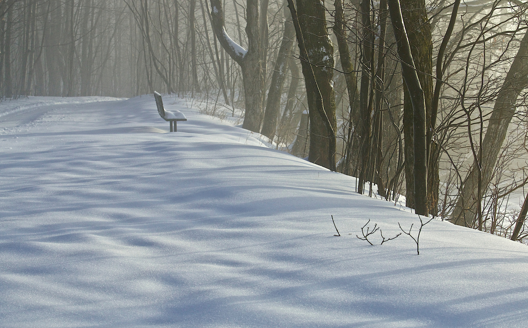 IMG_6067Calme de l'hiver .