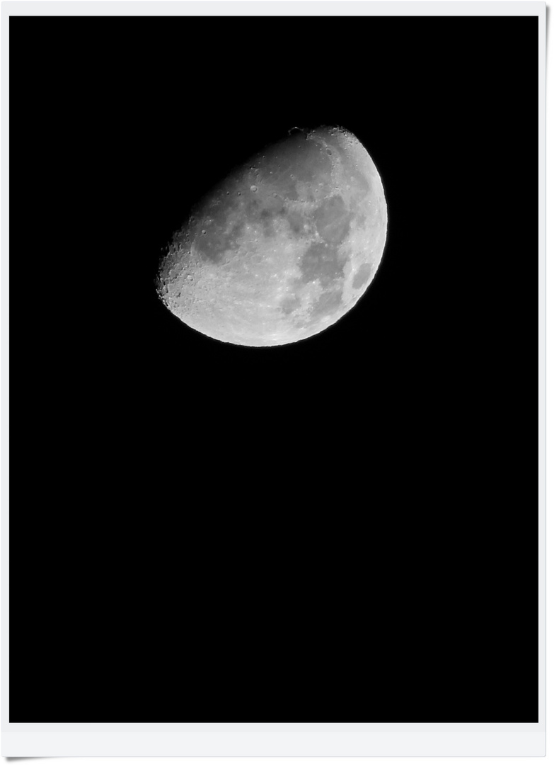 IMG_6095 2025.10.31 Mond mit goldener Henkel