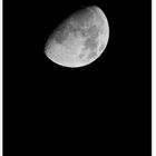 IMG_6095 2025.10.31 Mond mit goldener Henkel